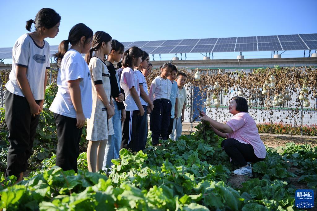 九莲宝灯老虎机下载
